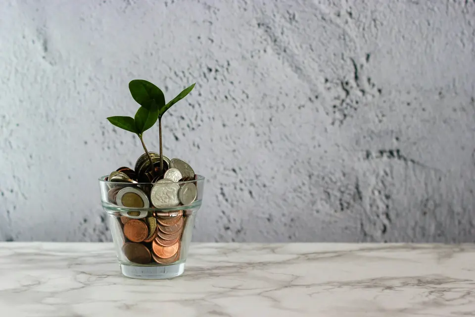 Liten plante som vokser opp av et glass fylt med mynter